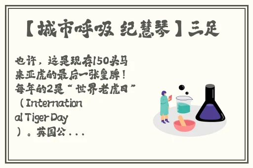 搞机time直接打开不用不收钱中国长安网